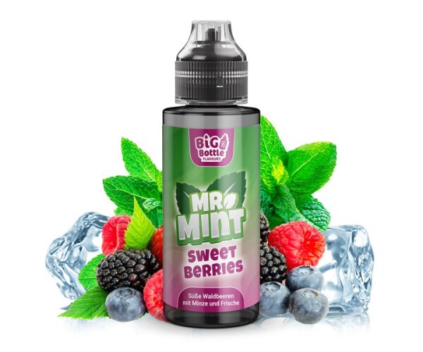Big Bottle - Mr. Mint - Sweet Berries 10ml