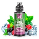 Big Bottle - Mr. Mint - Sweet Berries 10ml