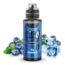 Big Bottle - Big Blueberry 10ml
