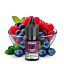OWL Salt Liquid - Blue Razz Nikotinsalz 10ml 10 mg