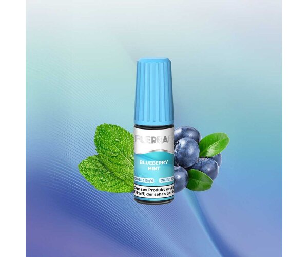 Flerbar NicSalt Blueberry Mint-20 mg/ml